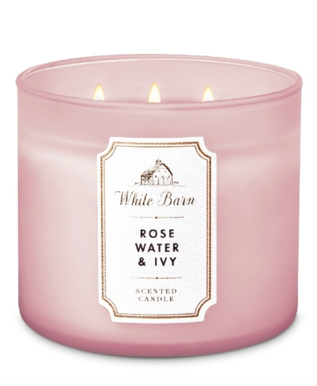 Rose Water & Ivy 3 -Wick Scented Candle